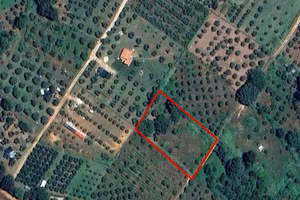 Casa singola - Manciano