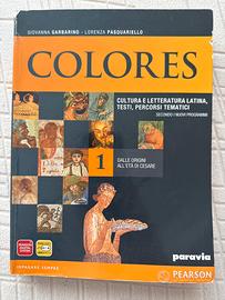 COLORES 1 - GIOVANNA G. e LORENZA P.