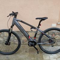 E bike