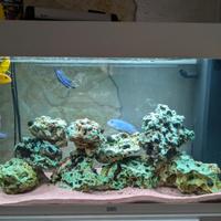 Acquario Juwel Rio 125 completo di allestimento
