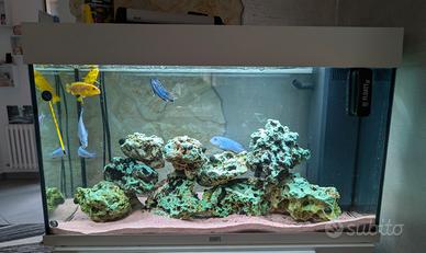 Acquario Juwel Rio 125 completo di allestimento