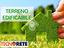 Immagine 21