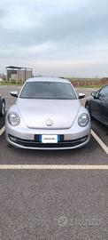 maggiolino beetle 