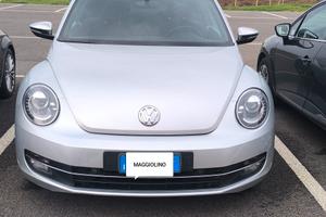 maggiolino beetle 