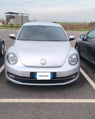 maggiolino beetle 