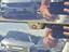 Immagine 13