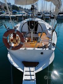 barca  a vela brigand 950