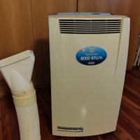 condizionatore portatile Pinguino DeLonghi PACNF80