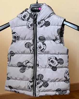 Smanicato topolino