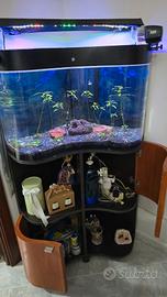 Acquario Angolare 