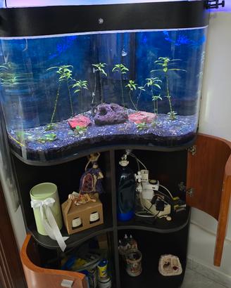 Acquario Angolare 