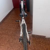Montan bike