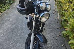 Kawasaki ER-5 500 – anno 2006 – 24.170 km – €1.500
