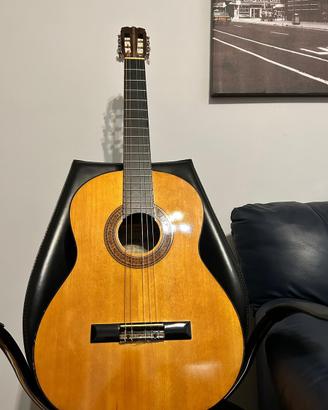 Chitarra acustica