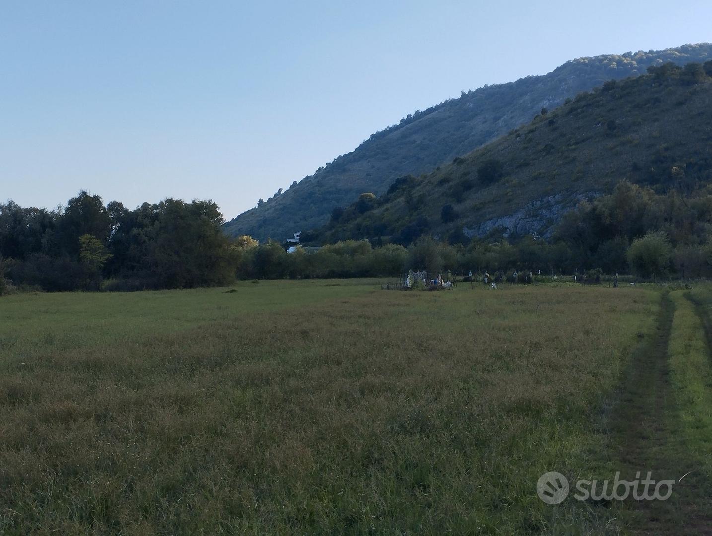 Terreno agricolo località caira 4000 mq - Vista 4