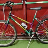 Mountain bike