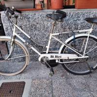 Bibici