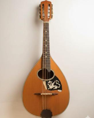 Mandolino storico 