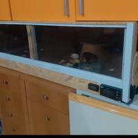 Terrario/Vivaio di grandi dimensioni accessoriato