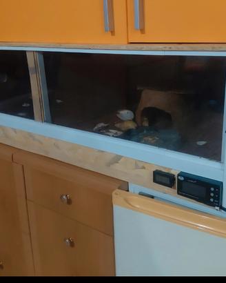 Terrario/Vivaio di grandi dimensioni accessoriato