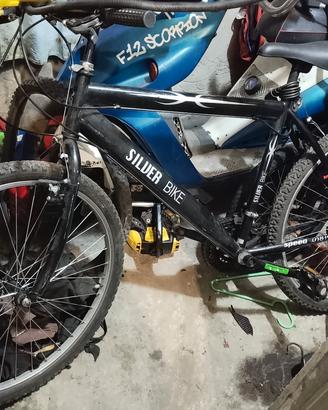 mountain bike