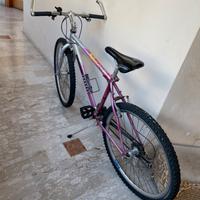 Bicicletta cambio shimano