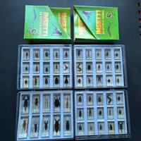 Insetti in resina, teca compresa e fascicoli