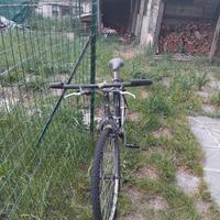bicicletta bianchi