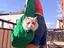 Immagine 5