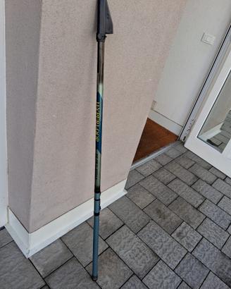 Canna da pesca in carbonio.