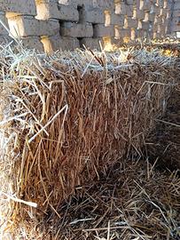 Fieno di erbaio in ballette