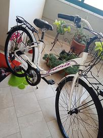 FRERA DEL 28 