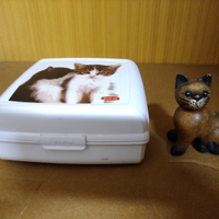 Contenitore con immagine gattini + gatto in legno