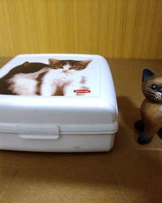 Contenitore con immagine gattini + gatto in legno