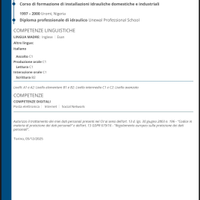 Idraulico , tubista antincendio , carrozziere