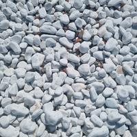 sassi bianchi da giardino