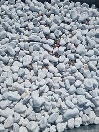 sassi bianchi da giardino