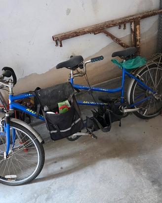 bicicletta 
