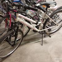 Mountain Bike Ragazza
