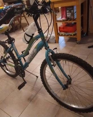 Bicicletta 24 pollici