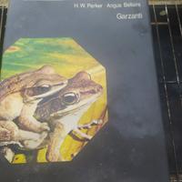 Gli anfibi e i rettili