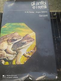 Gli anfibi e i rettili