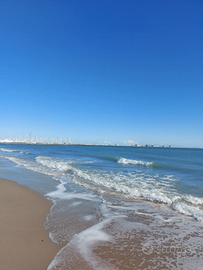 Marina - spiaggia e pineta