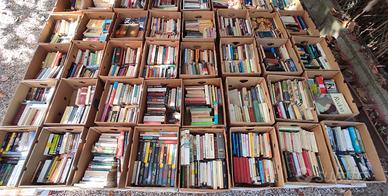 lotto di libri 