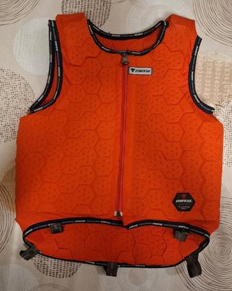 Protezione Dainese Moto/Equitazione