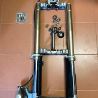 Forcelle Honda CR complete