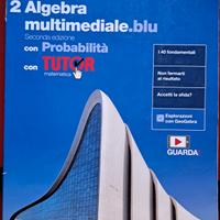 Matematica multimediale.blu. Algebra vol.2