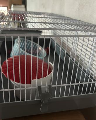 Gabbie per criceti