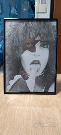 Poster  Paul Stanley