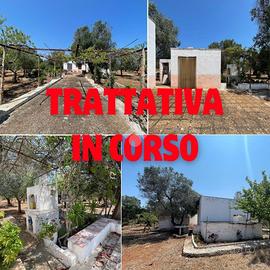 RUSTICO A CEGLIE MESSAPICA